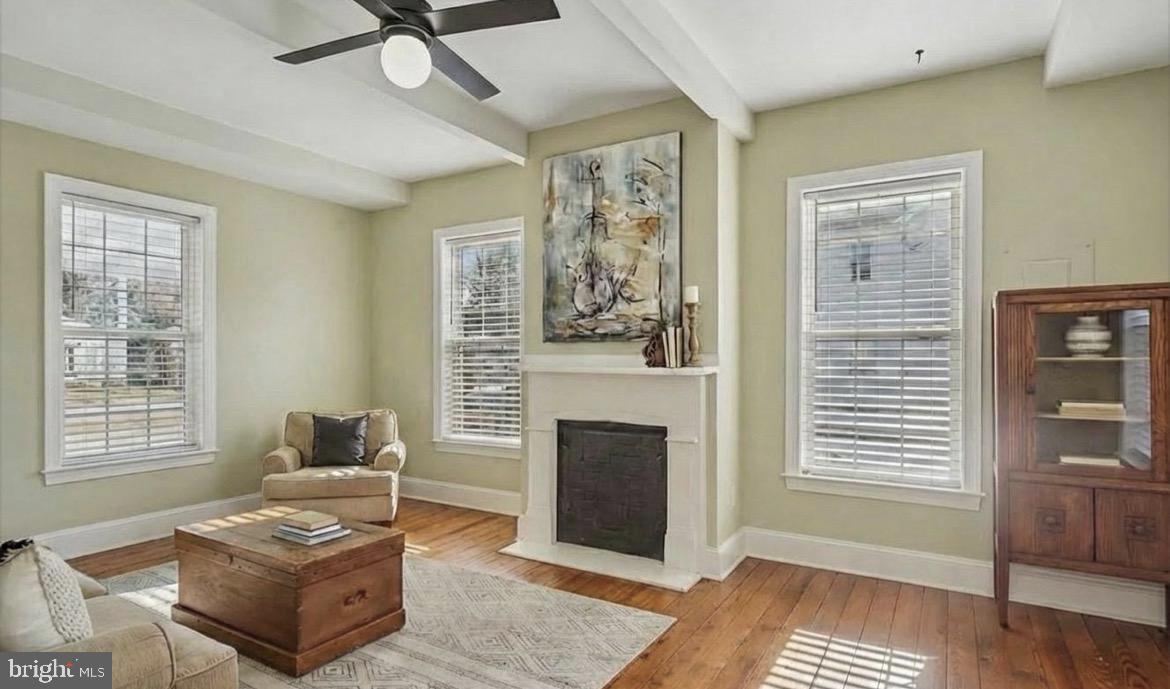 DOWNTOWN WALKERSVILLE - Residential