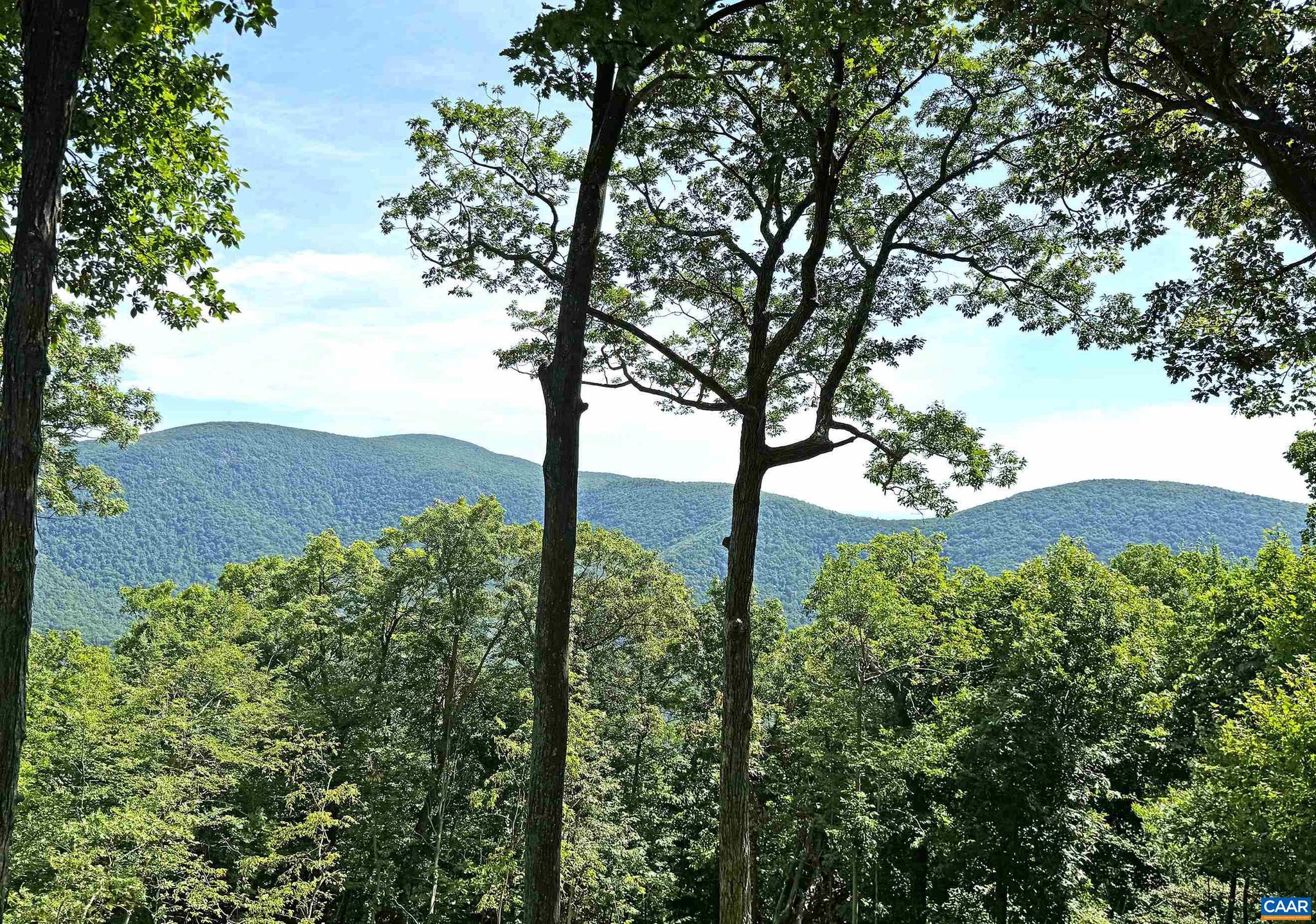 WINTERGREEN RESORT - Residential