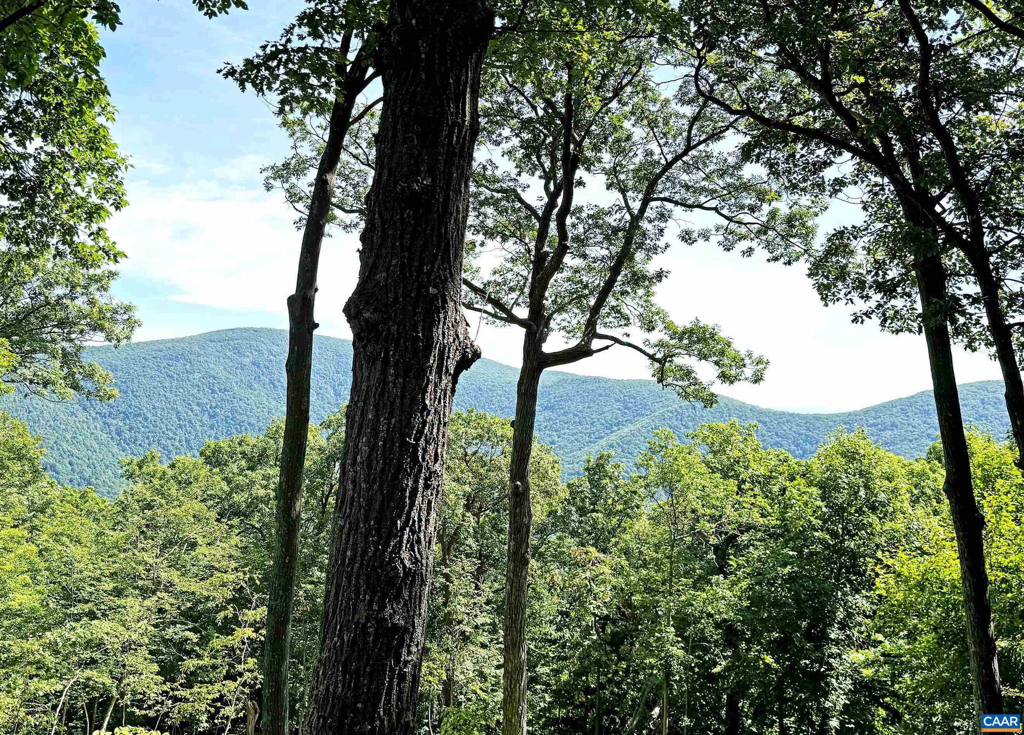 WINTERGREEN RESORT - Residential