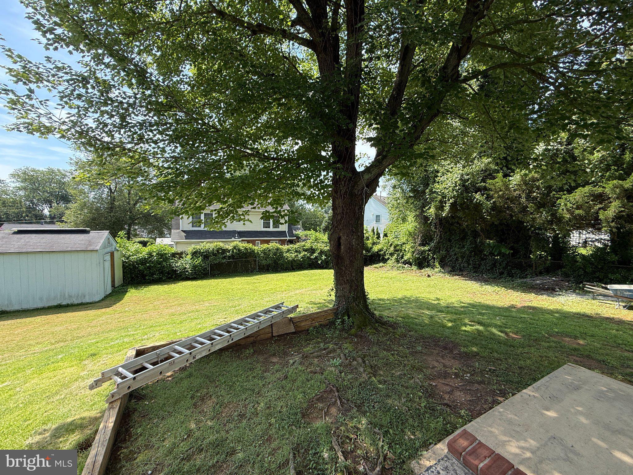 7433 TILLMAN DRIVE