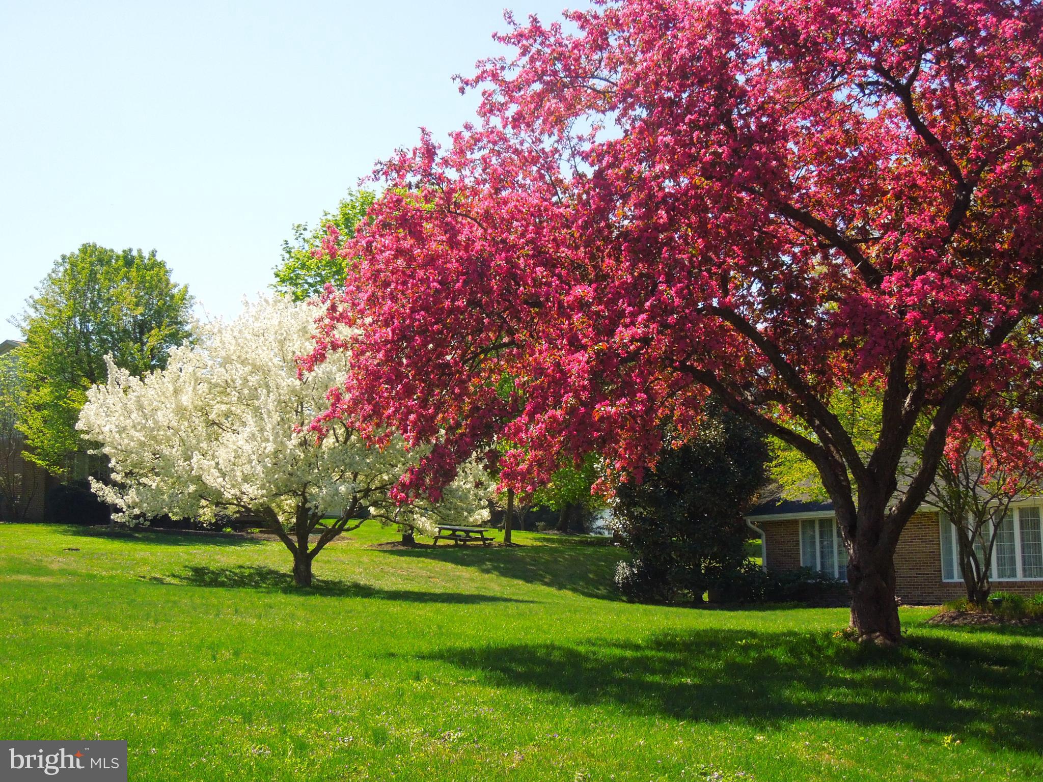 ROLLING GREEN - Residential