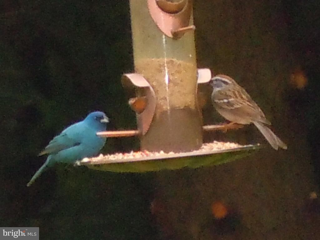 ROLLING GREEN - Residential