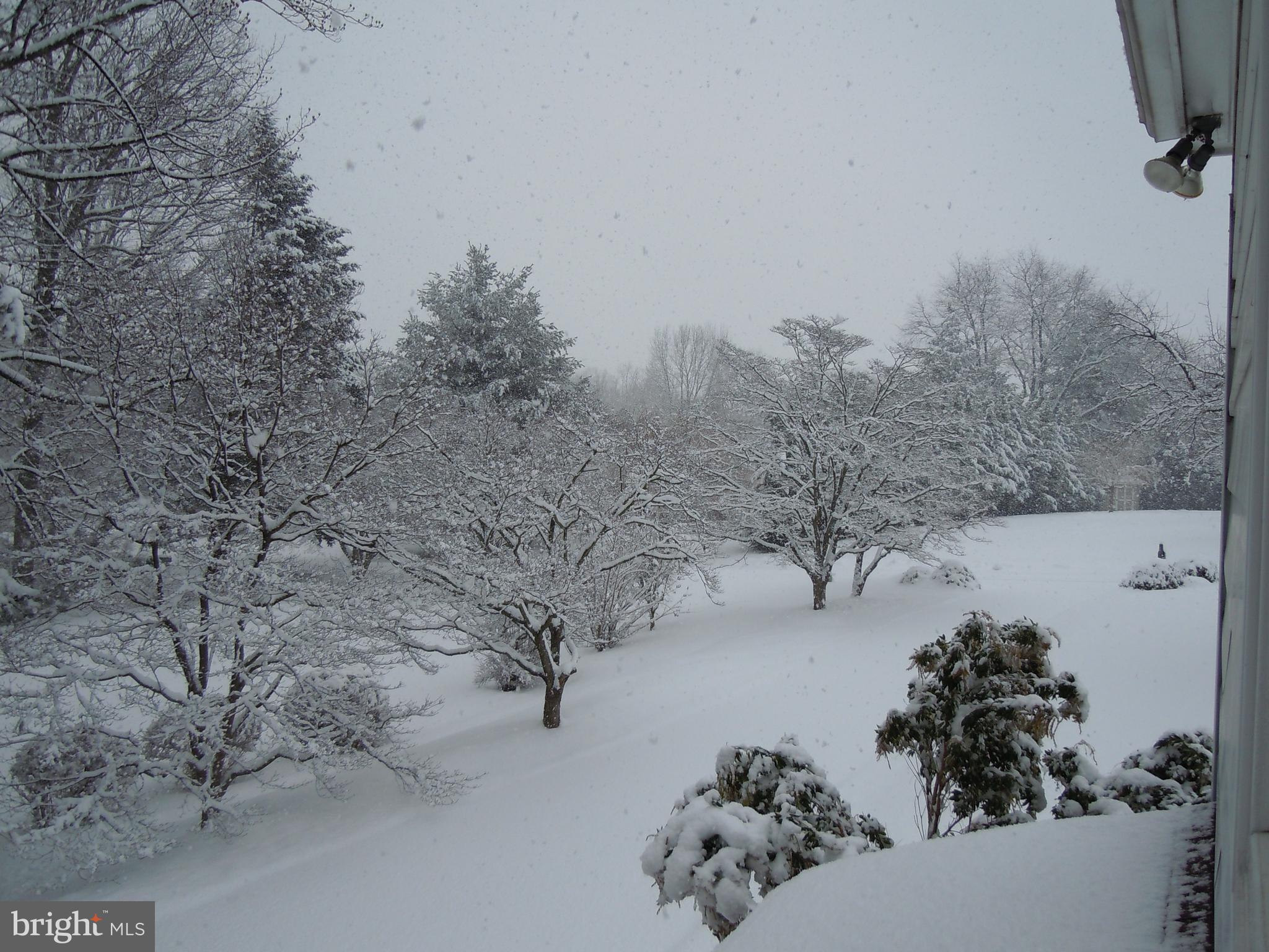 ROLLING GREEN - Residential