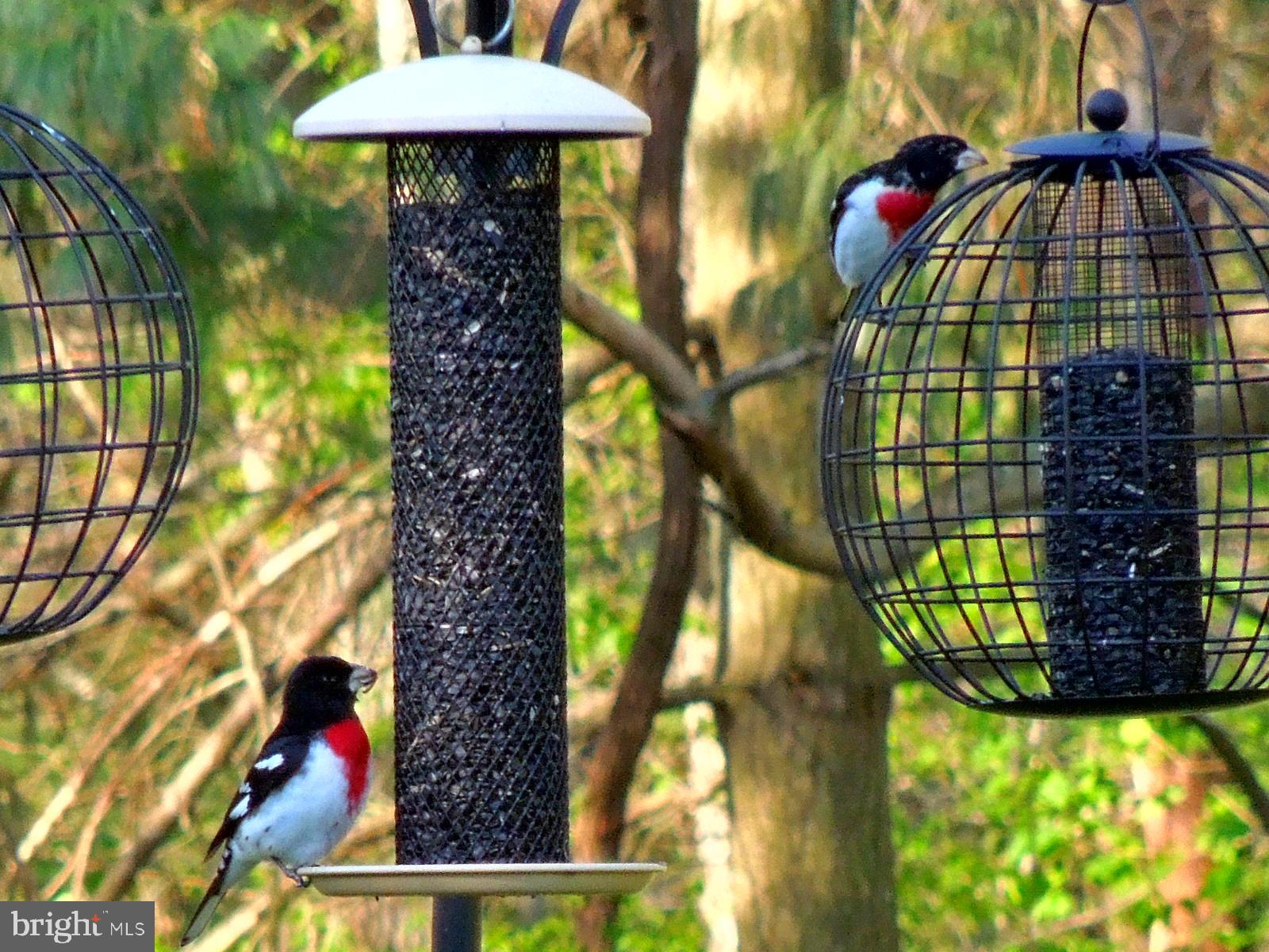 ROLLING GREEN - Residential