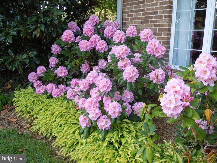 ROLLING GREEN - Residential