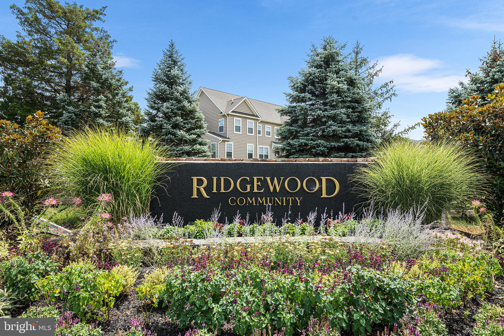 ENCLAVE AT RIDGEWOOD - Residential