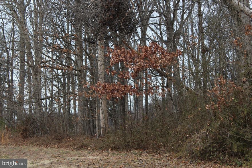 This is a great 2.83 acres wooded lot with soil work done in 1998 showing results for a 3-4 bedroom perk site.