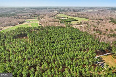 Vacant Land For Sale - Carters's Gate<br/> Caroline County, RUTHER GLEN, VA 22546