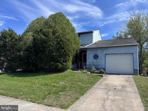 724 MILLER DRIVE DOVER DE 19901