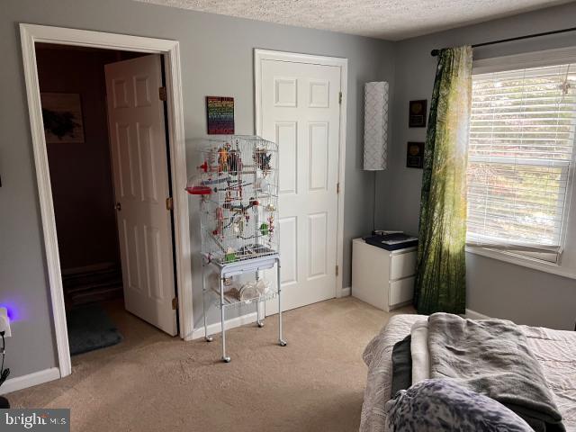 NEW MARKET WEST - Residential