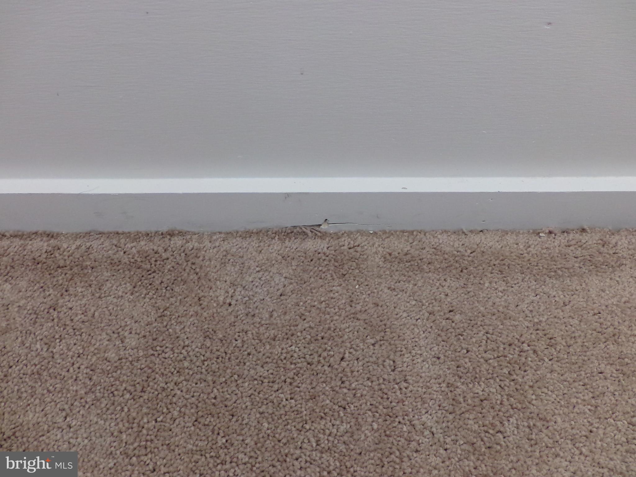 CATONSVILLE - Residential Lease