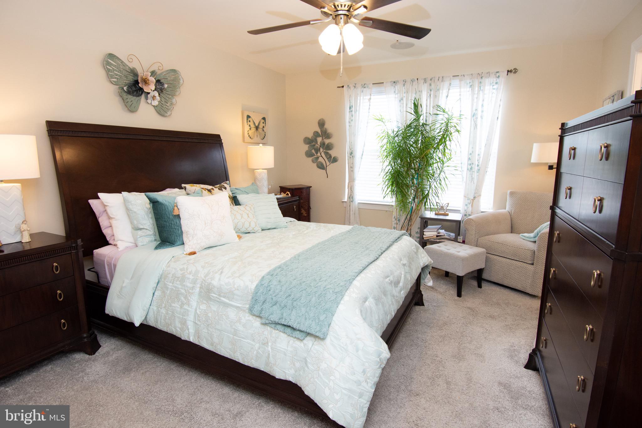 HAMILTON PARK - Residential