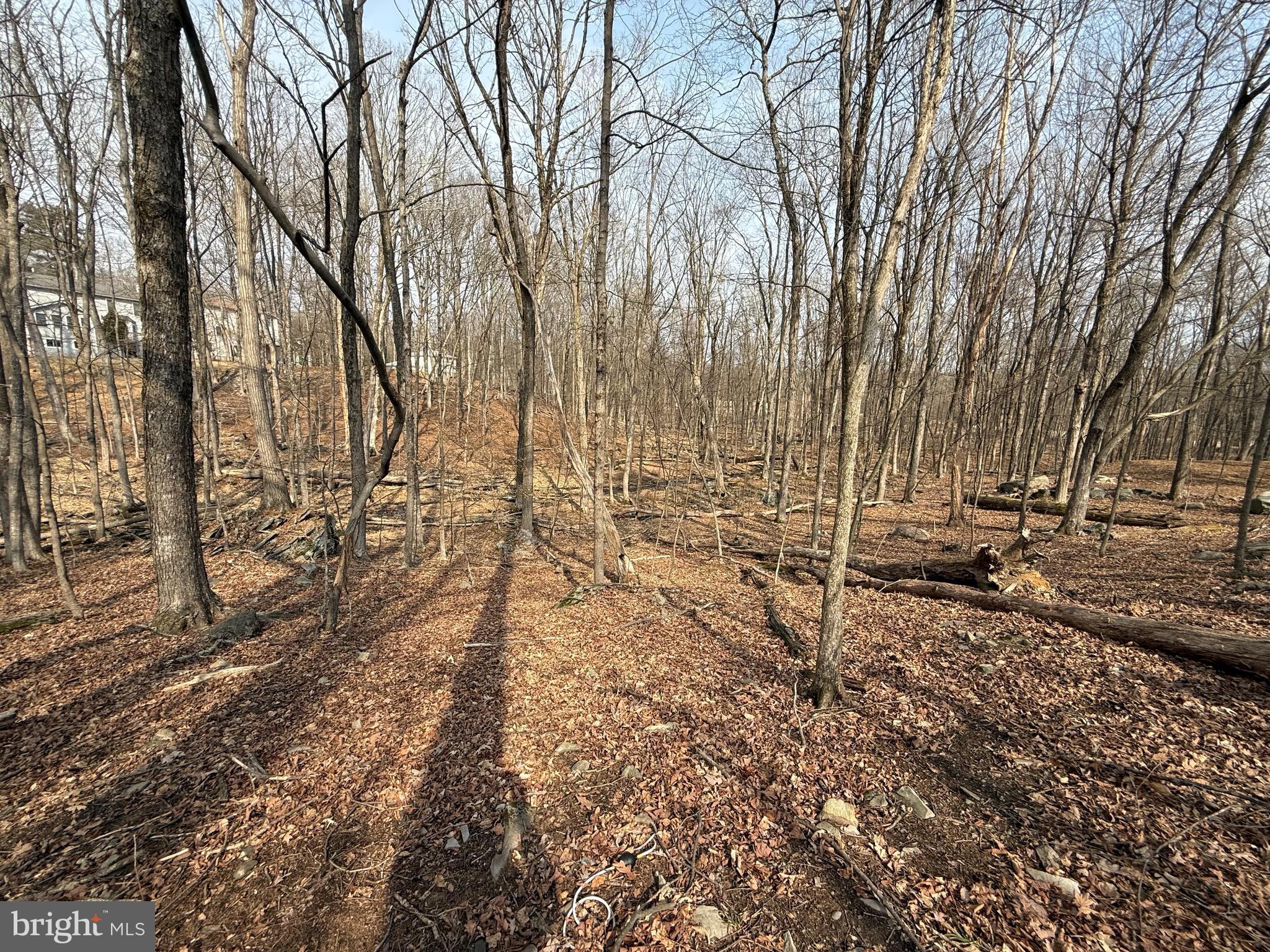 Lot 24 GREEN MEADOW DRIVE
