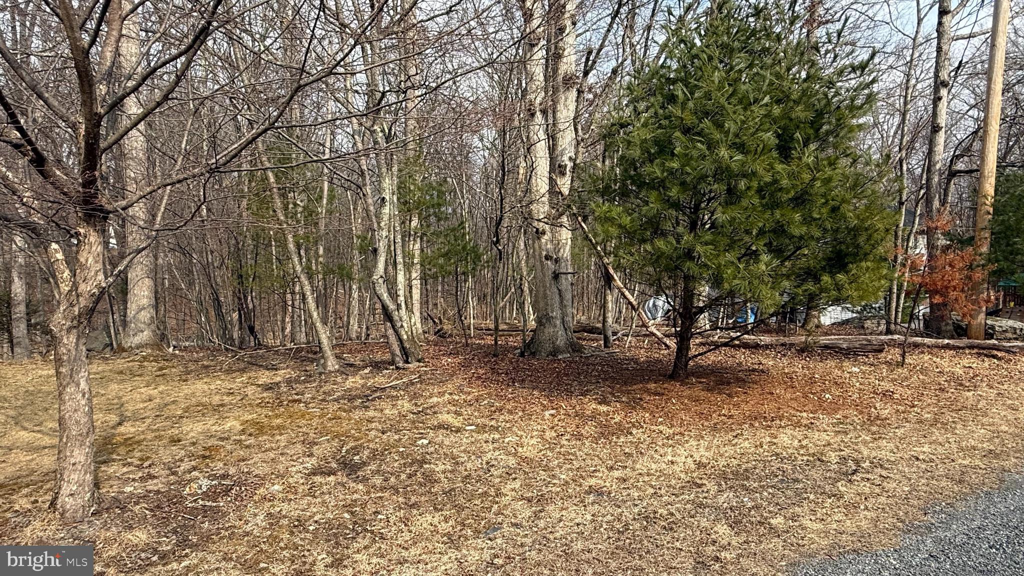 Lot 24 GREEN MEADOW DRIVE