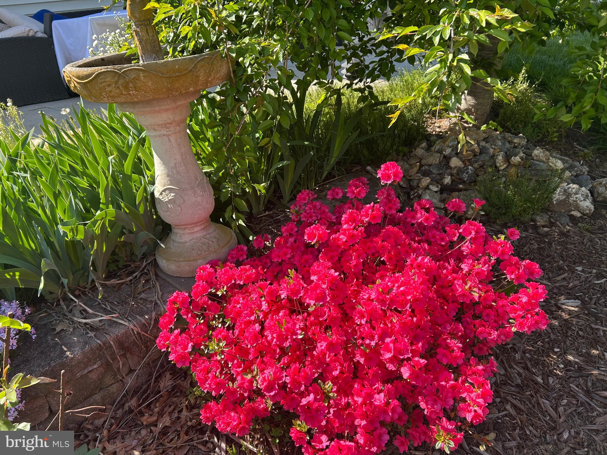 1809 KINGS FOREST TRAIL