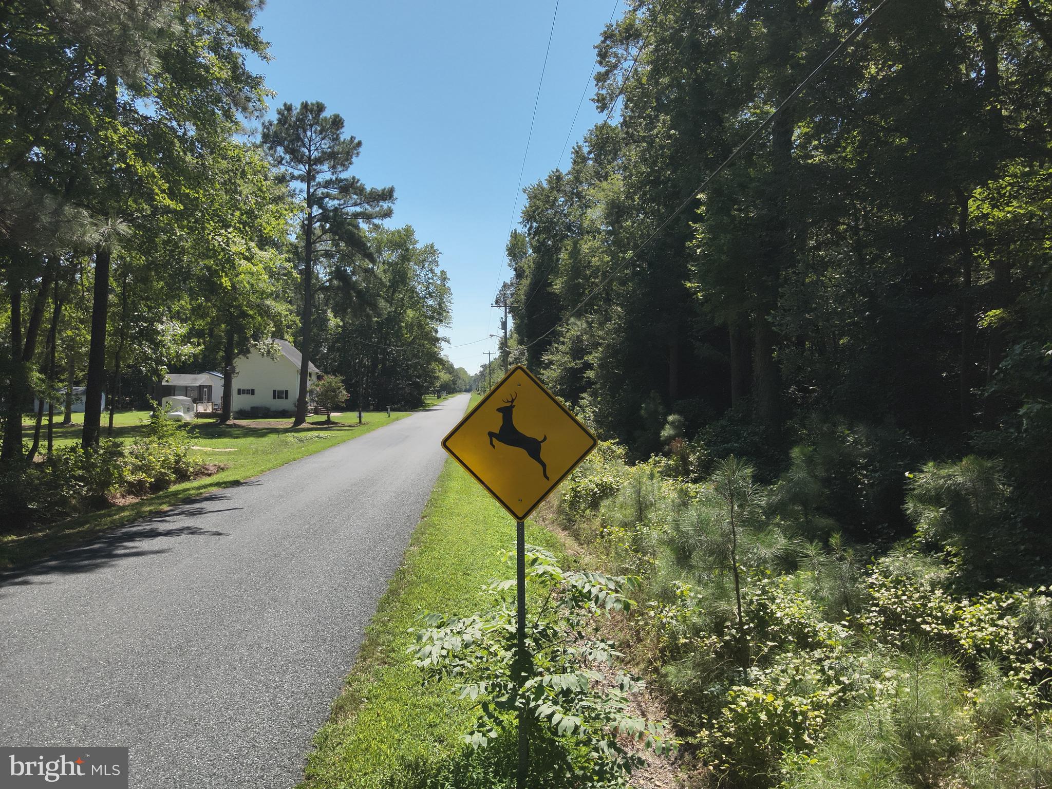 JESTERVILLE ROAD