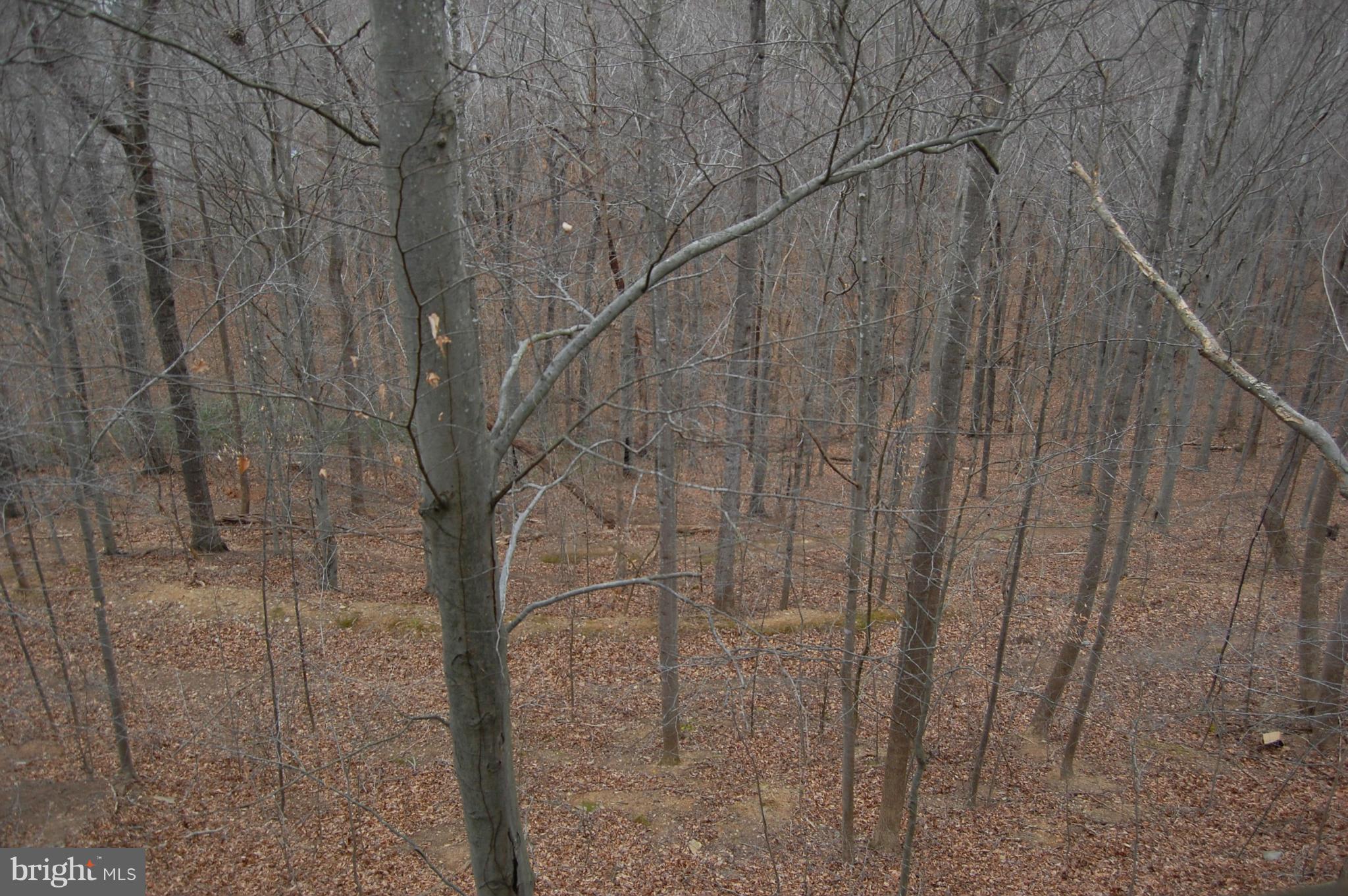 RIVERRUN CONDOS - Residential