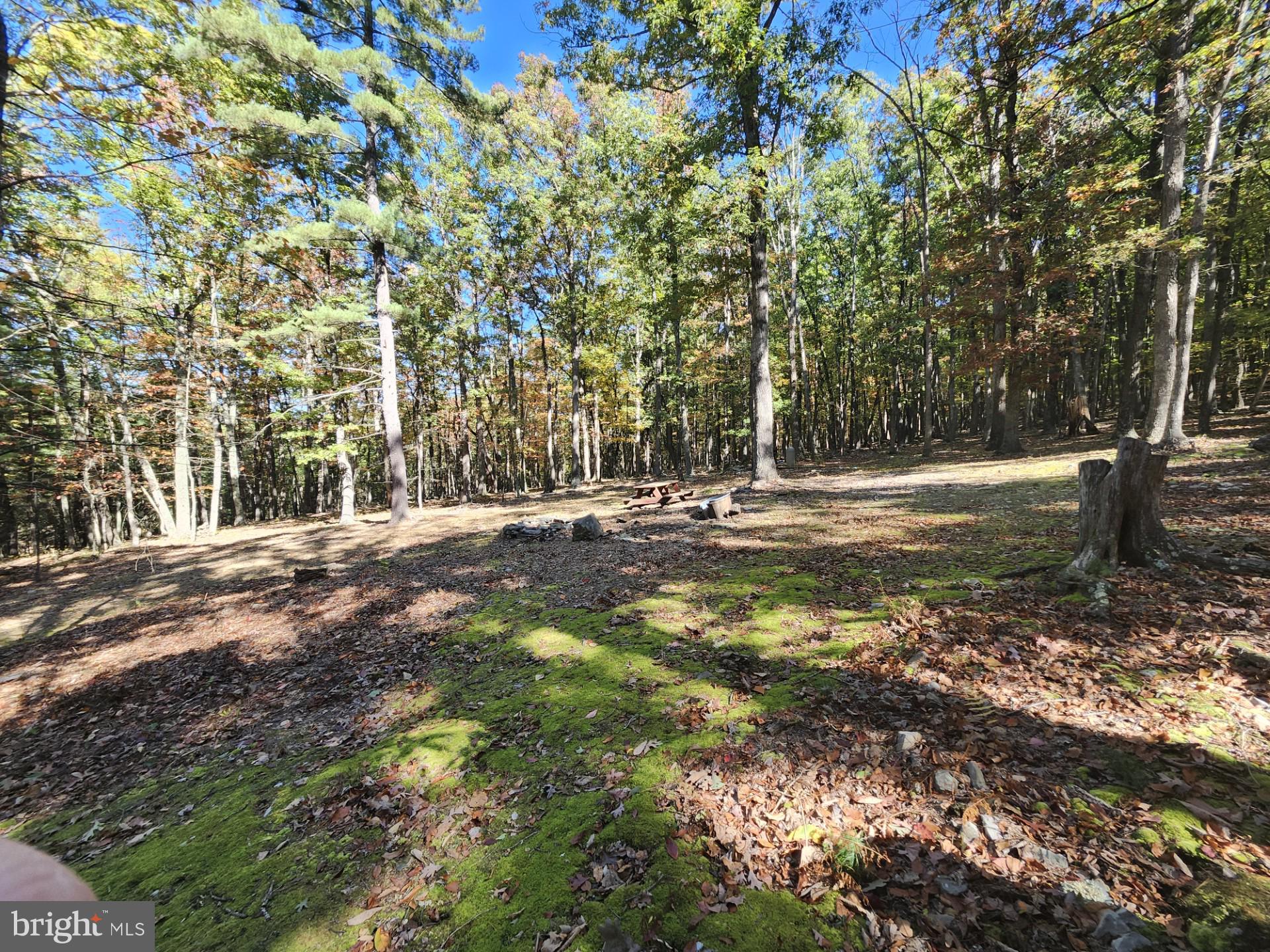 MILL MOUNTAIN ORCHARD - Land