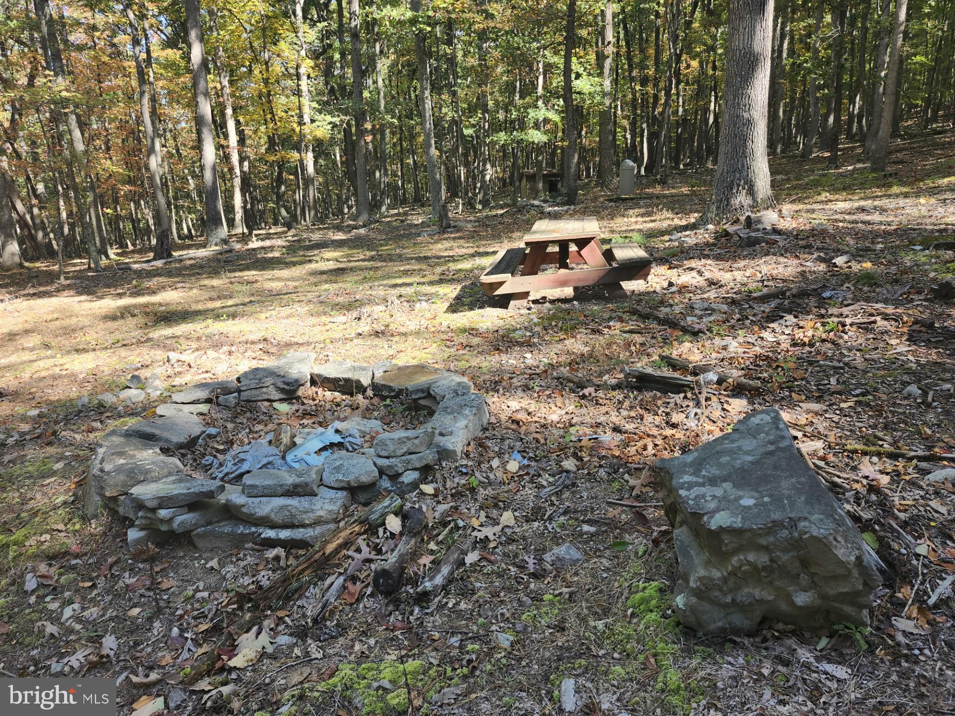 MILL MOUNTAIN ORCHARD - Land