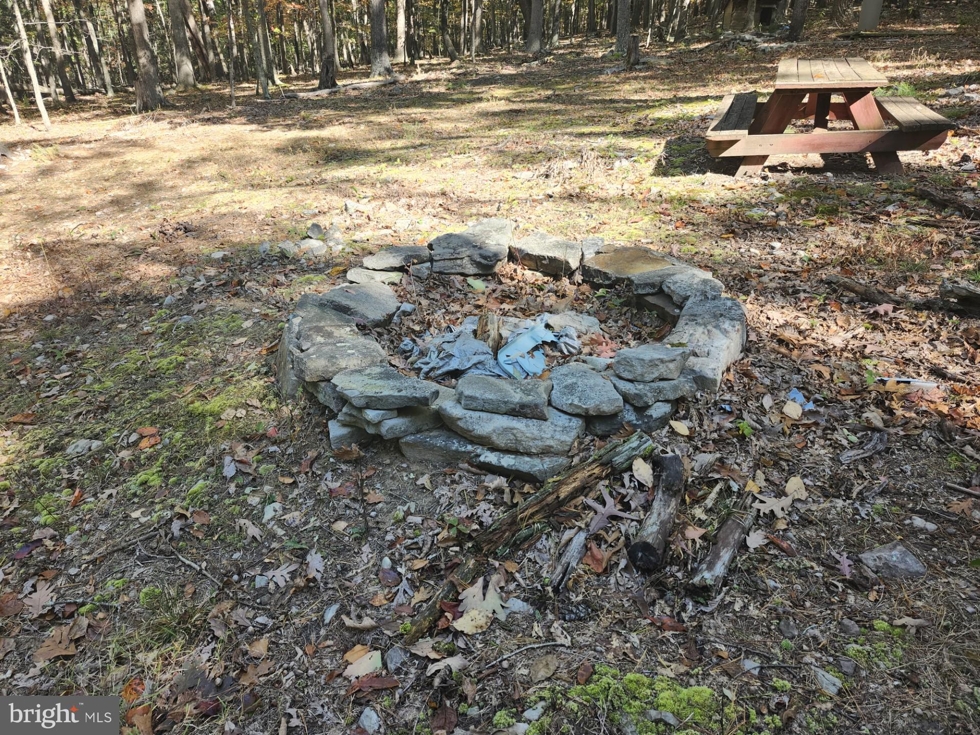 MILL MOUNTAIN ORCHARD - Land