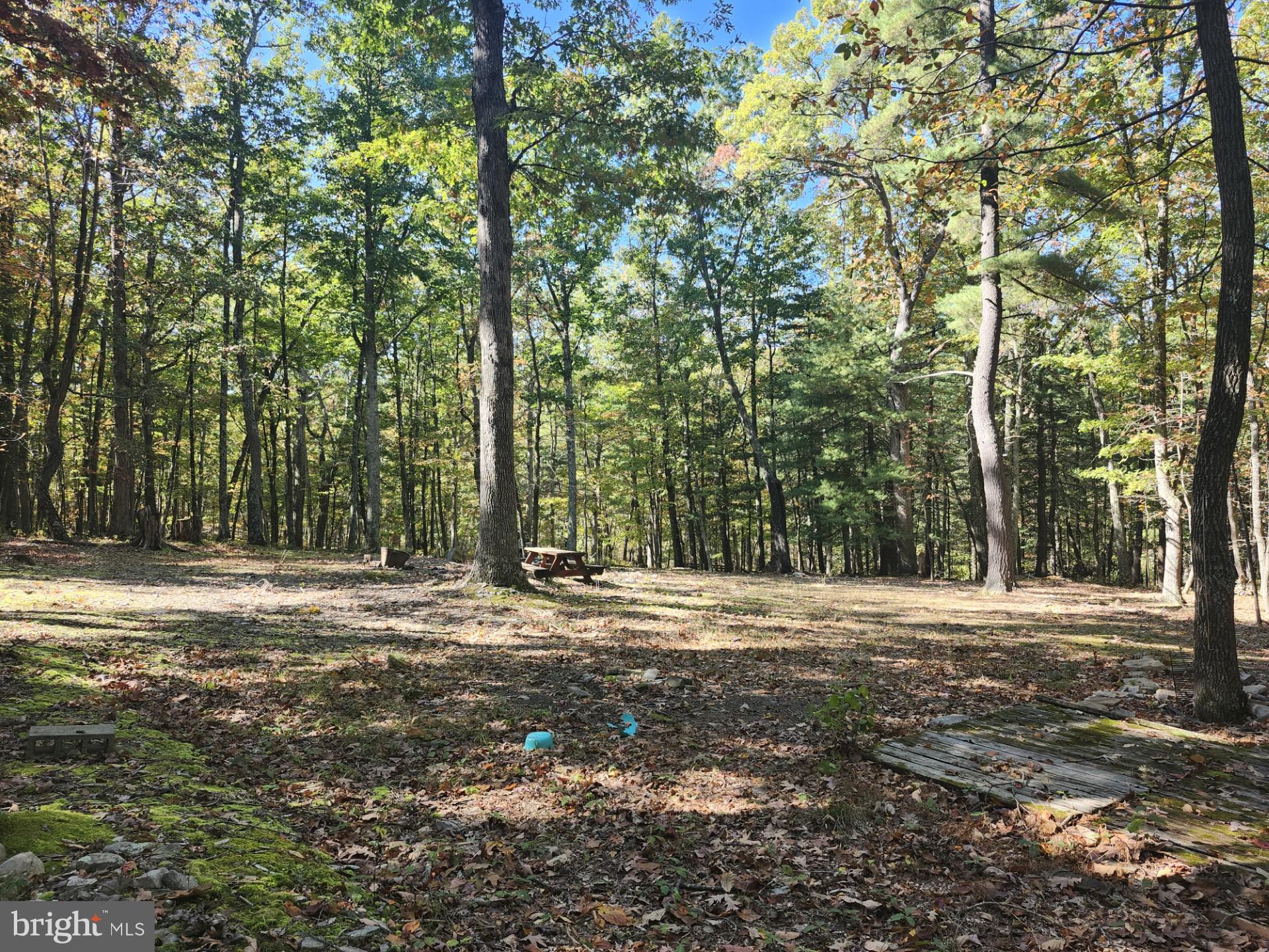 MILL MOUNTAIN ORCHARD - Land