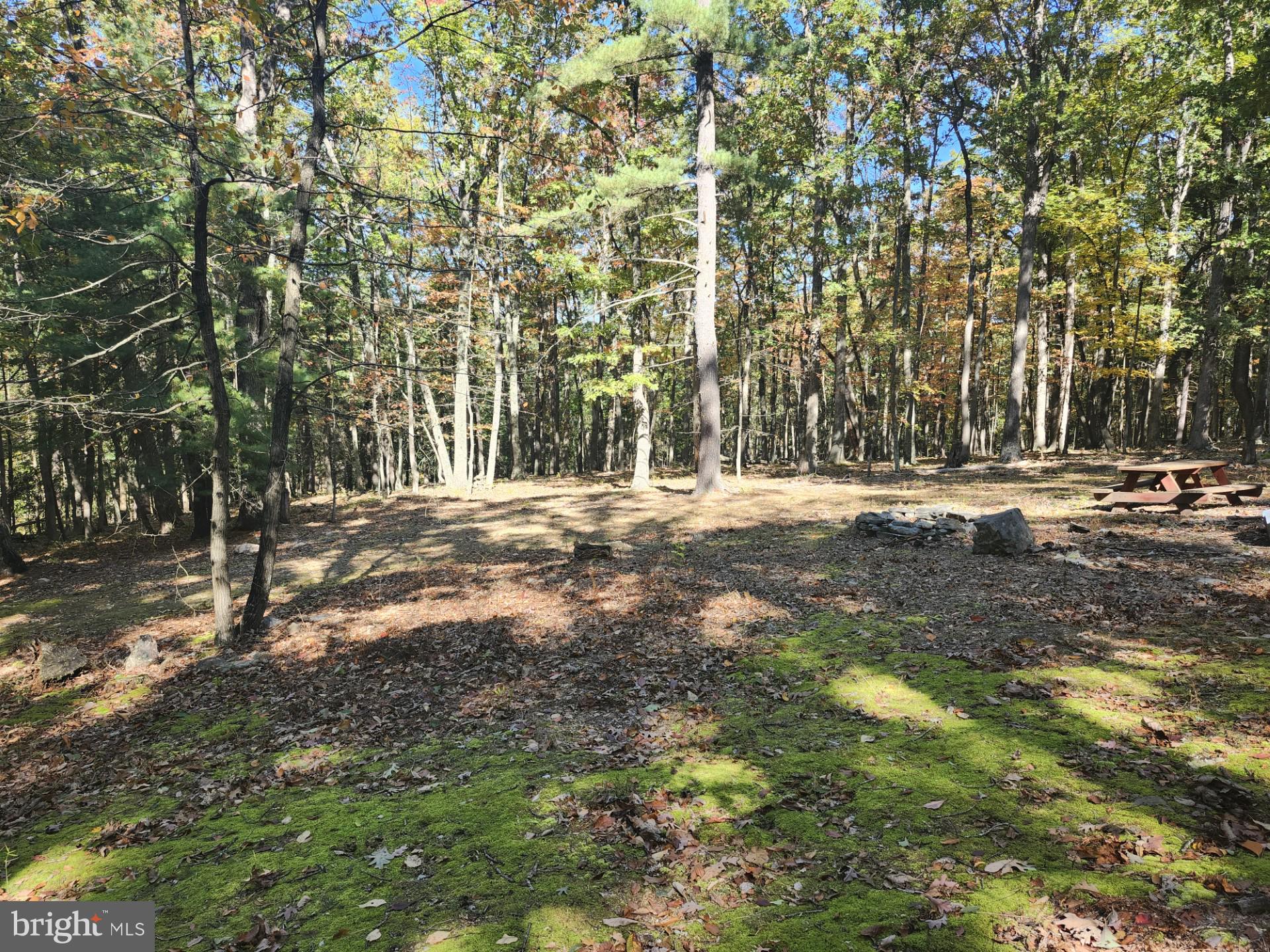 MILL MOUNTAIN ORCHARD - Land