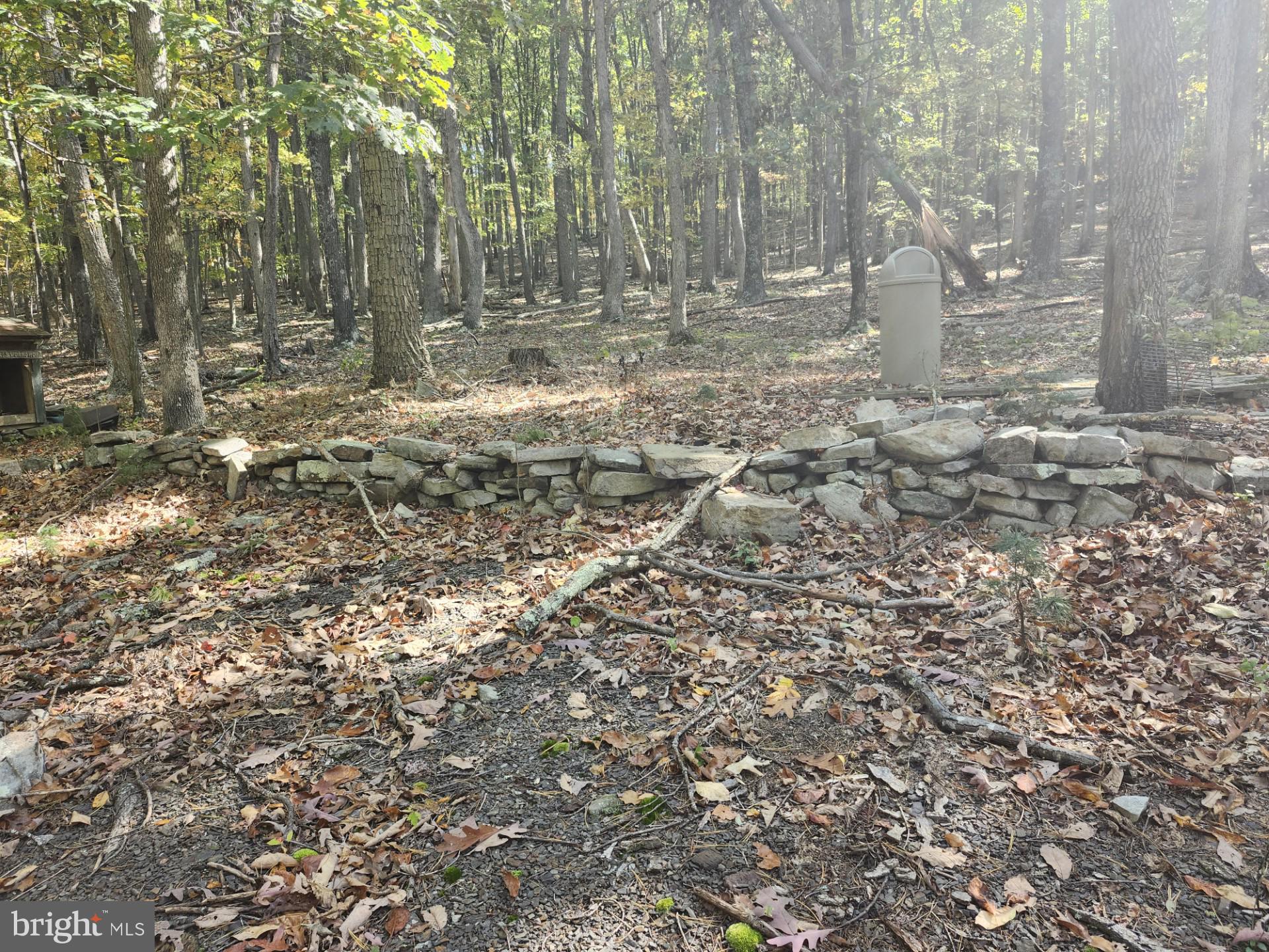 MILL MOUNTAIN ORCHARD - Land