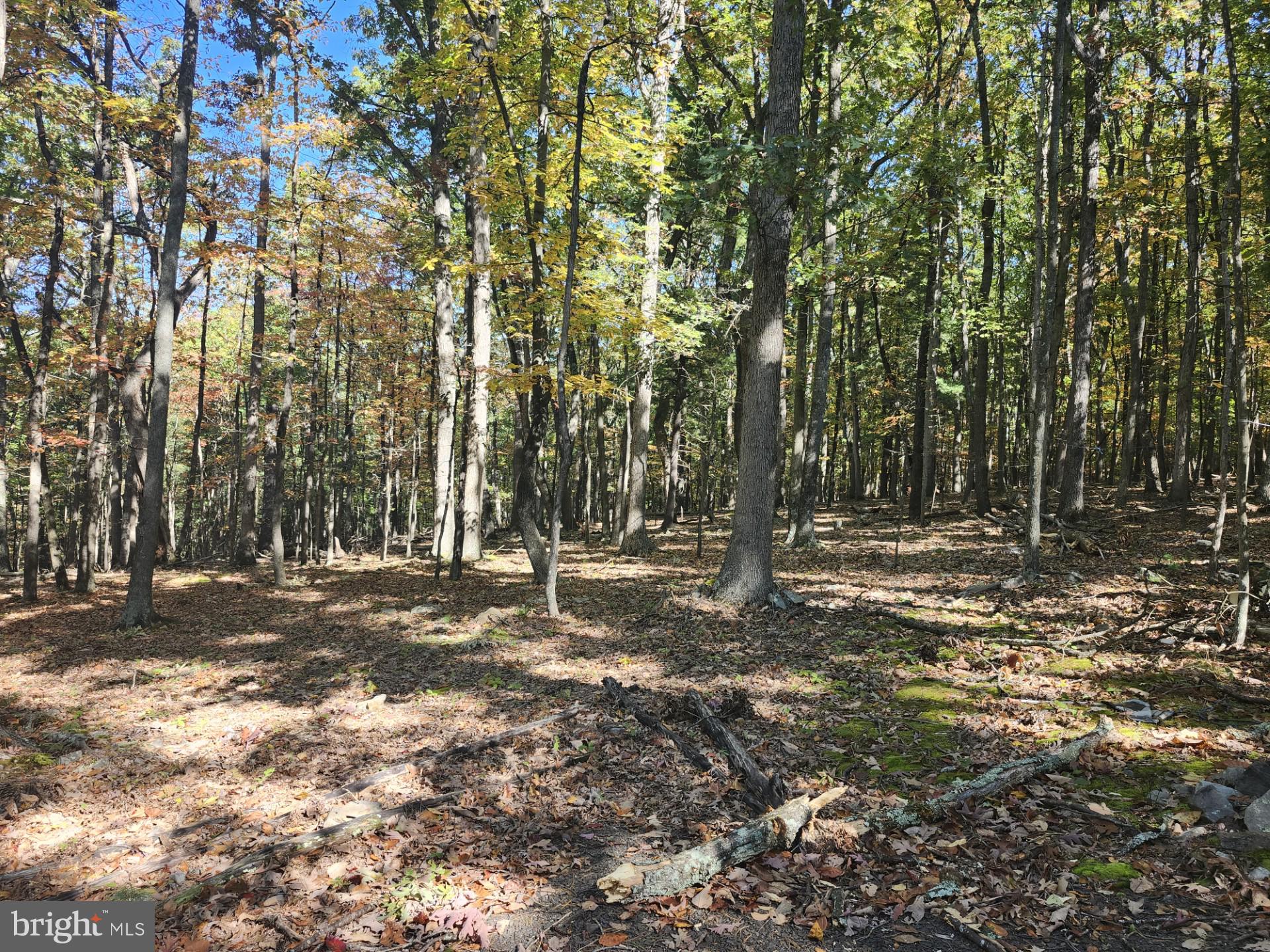 MILL MOUNTAIN ORCHARD - Land