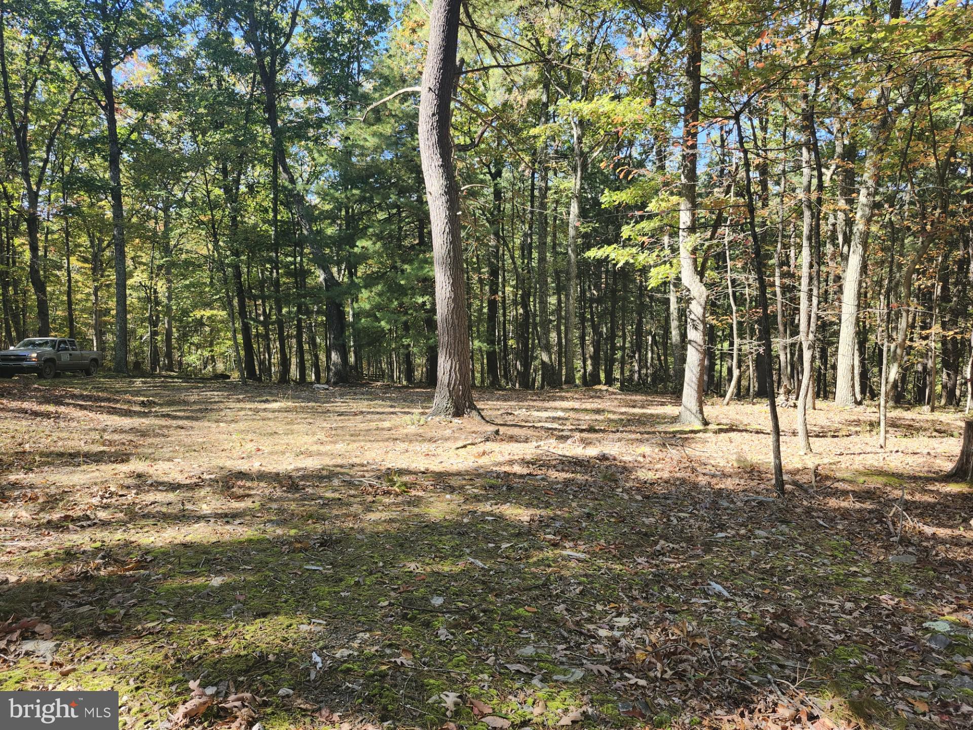 MILL MOUNTAIN ORCHARD - Land