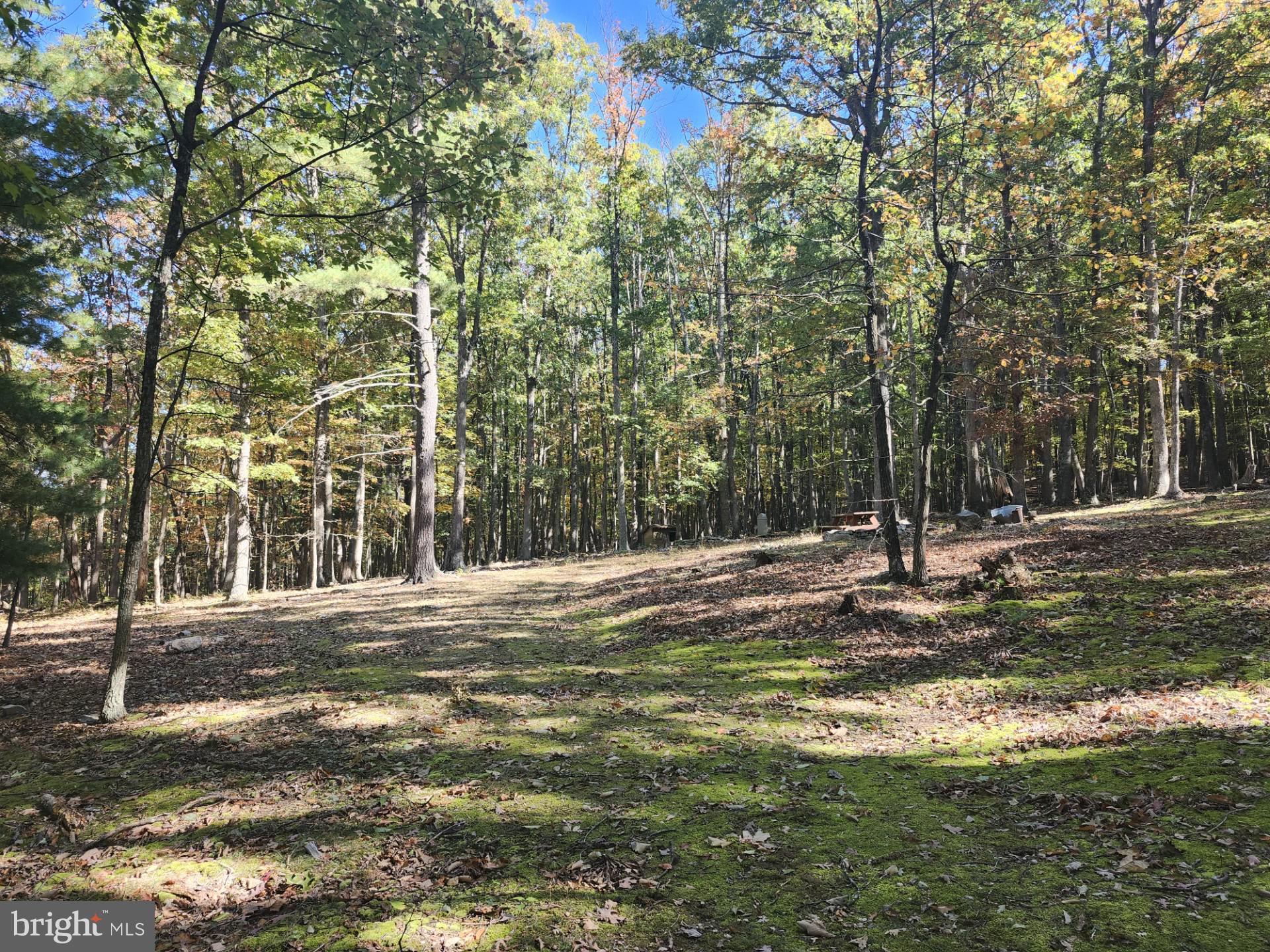 MILL MOUNTAIN ORCHARD - Land