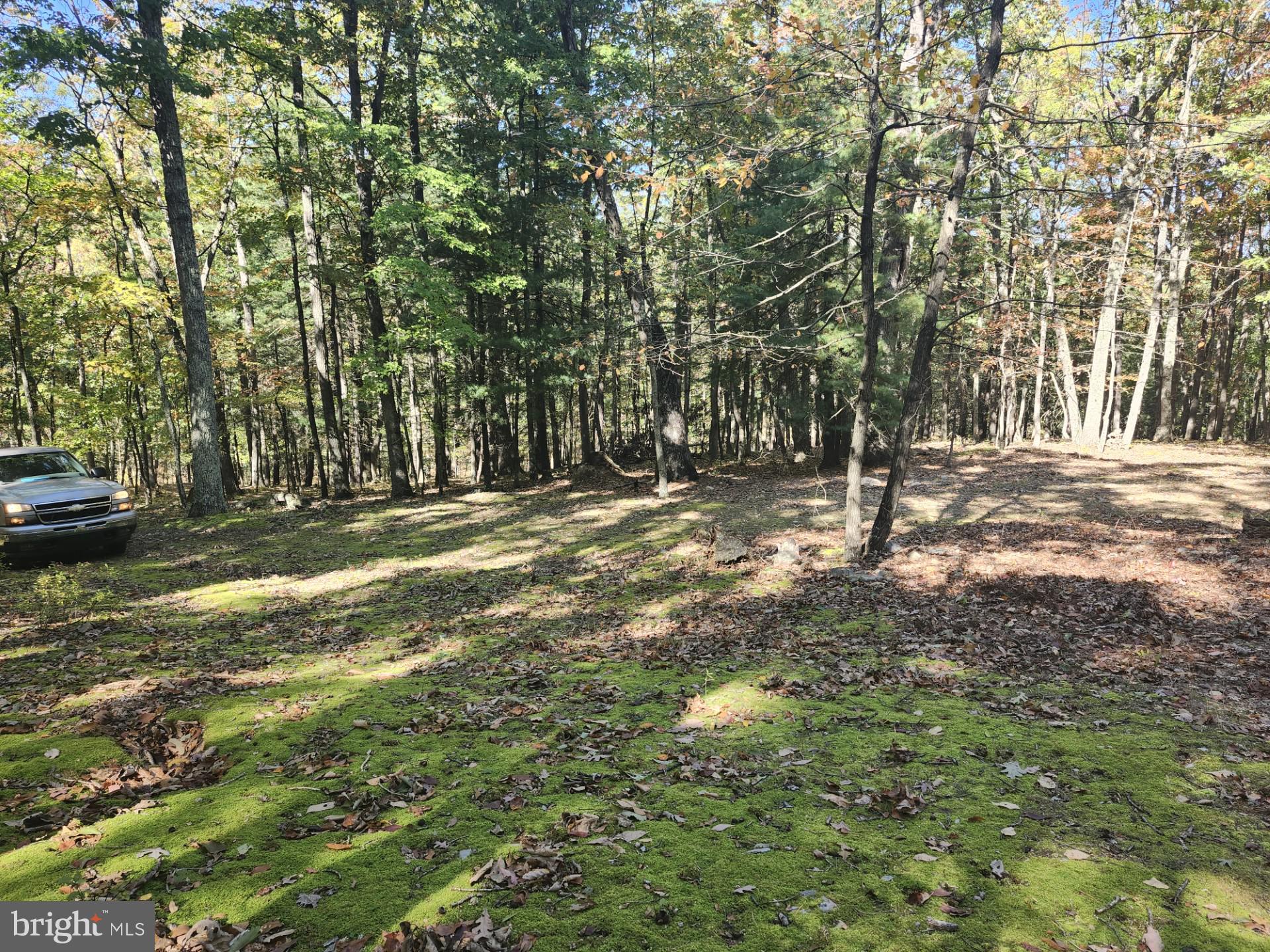 MILL MOUNTAIN ORCHARD - Land