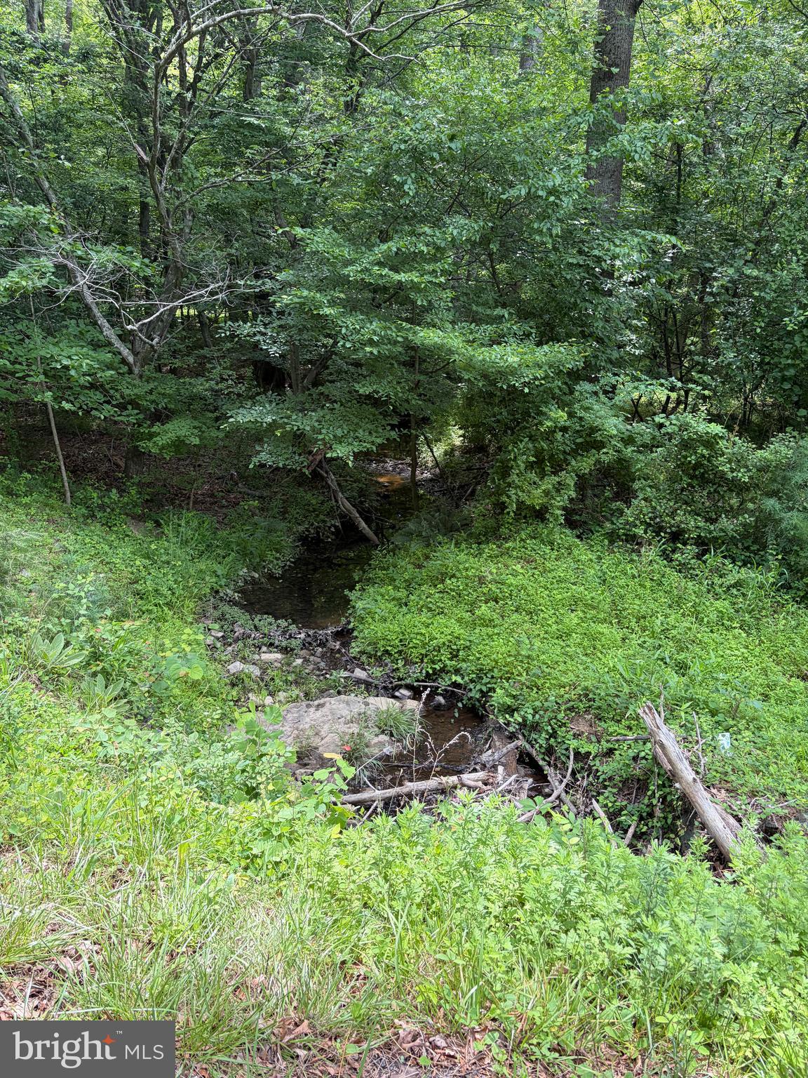 1 RAPIDAN ROAD