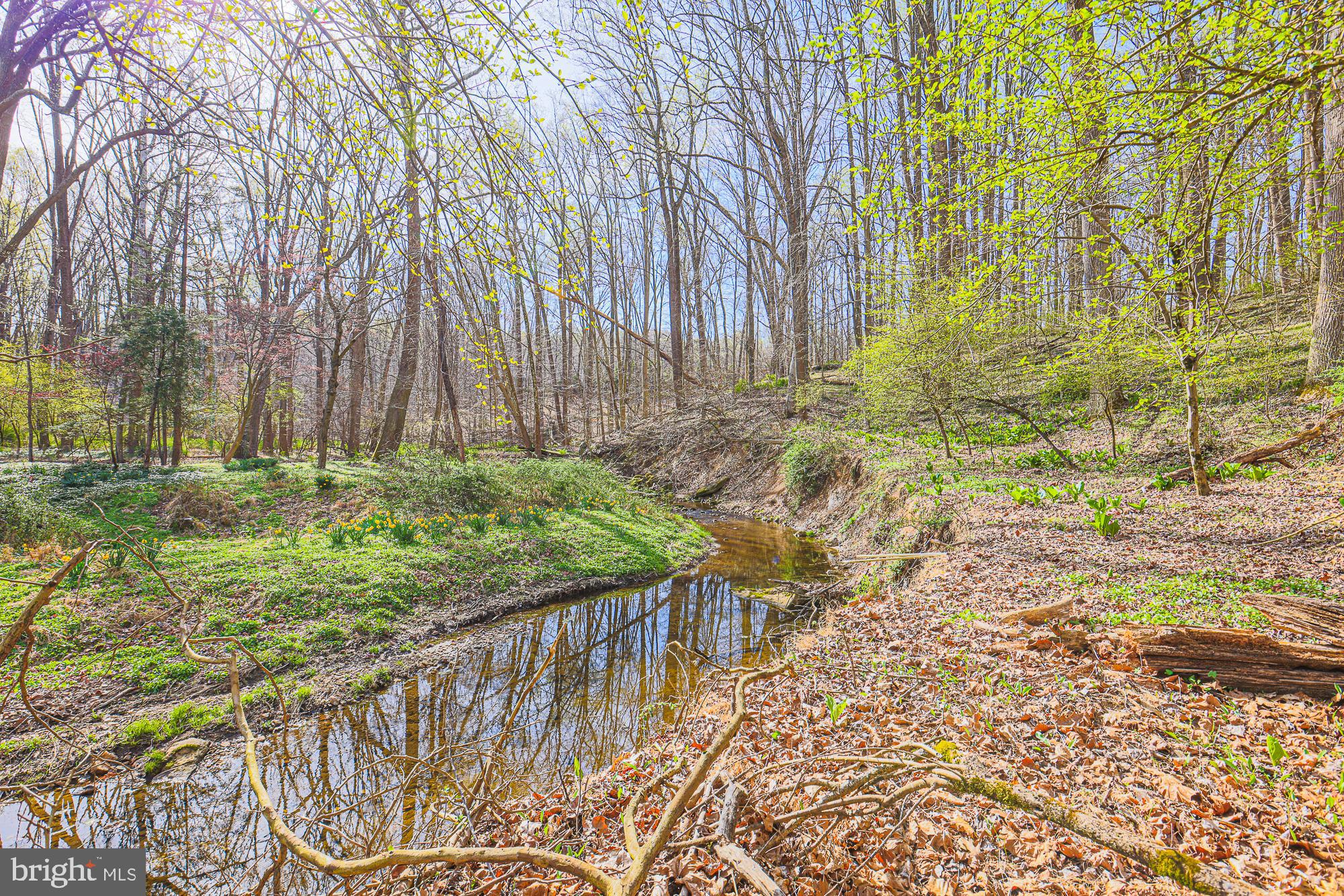 OWINGS MILLS - Residential