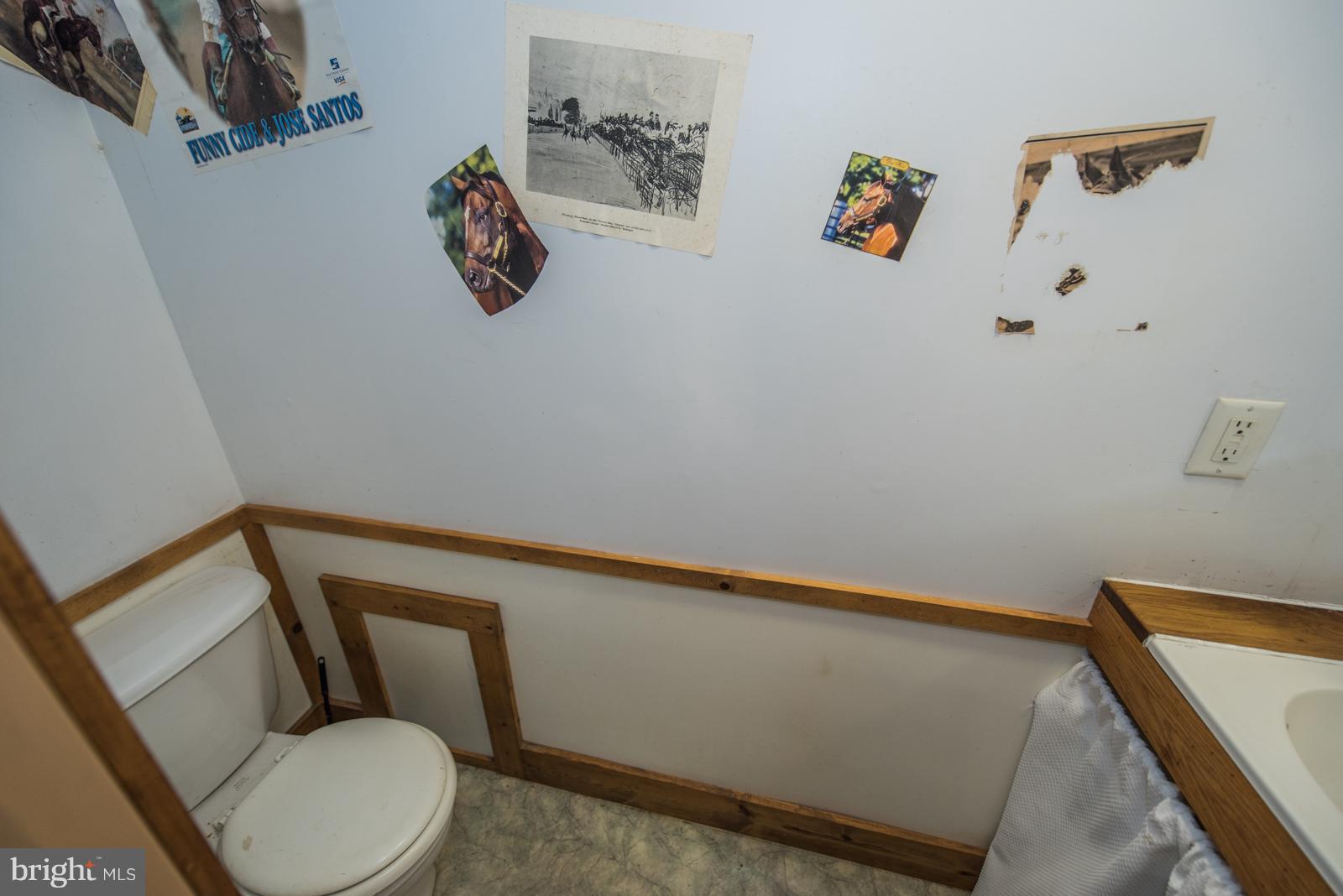 COLD SPRING FOREST - Residential