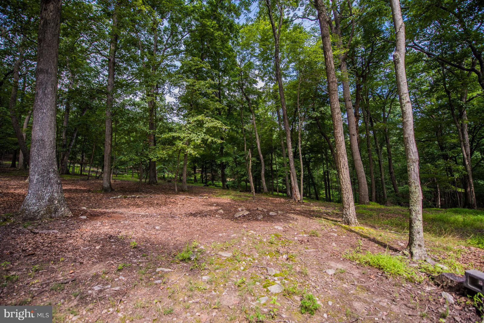 COLD SPRING FOREST - Residential