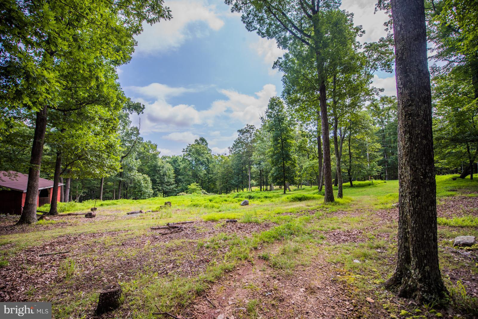 COLD SPRING FOREST - Residential