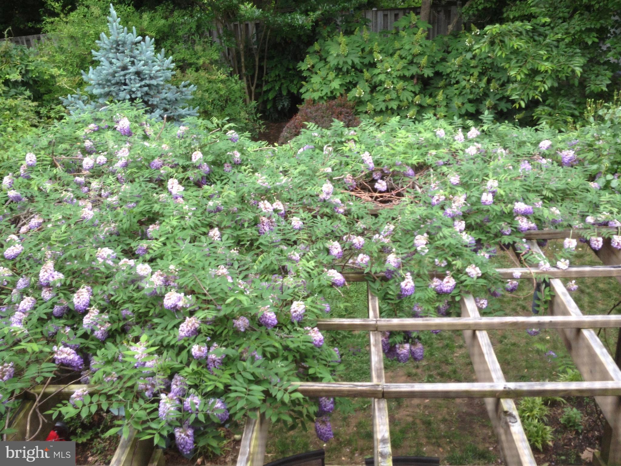 WHISPERING WOODS - Residential