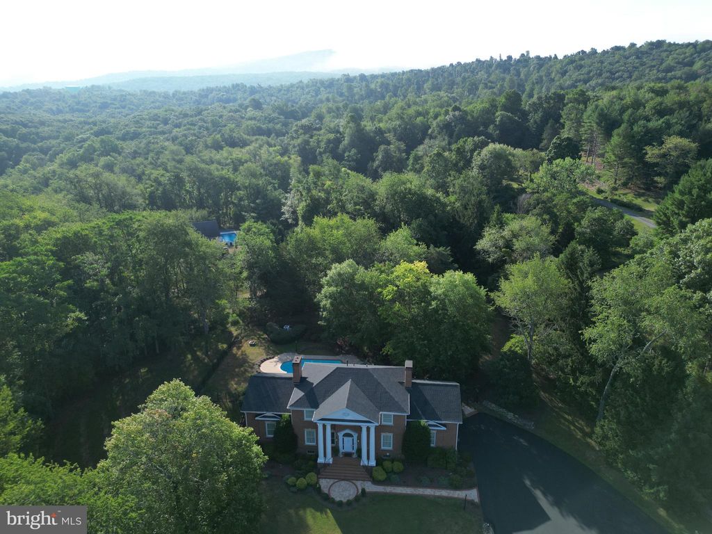 listing image 82