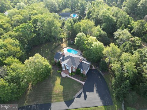 listing image 83