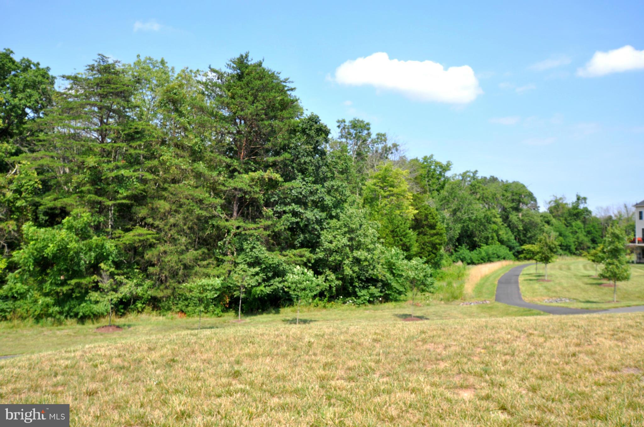 AVONLEA - Residential