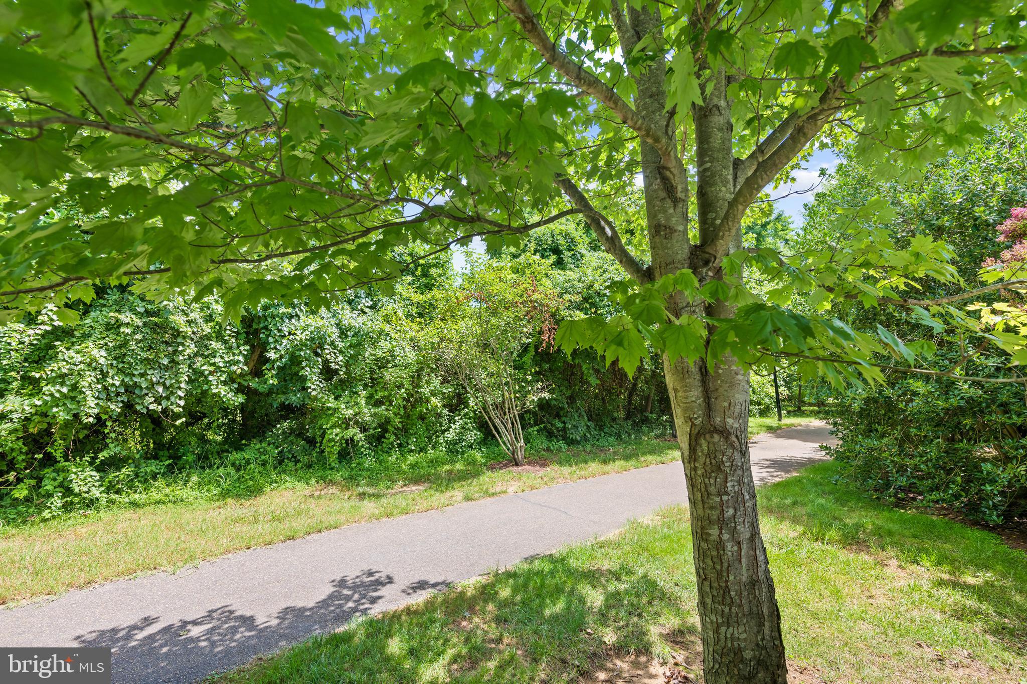 KINGSPORT - Residential Lease