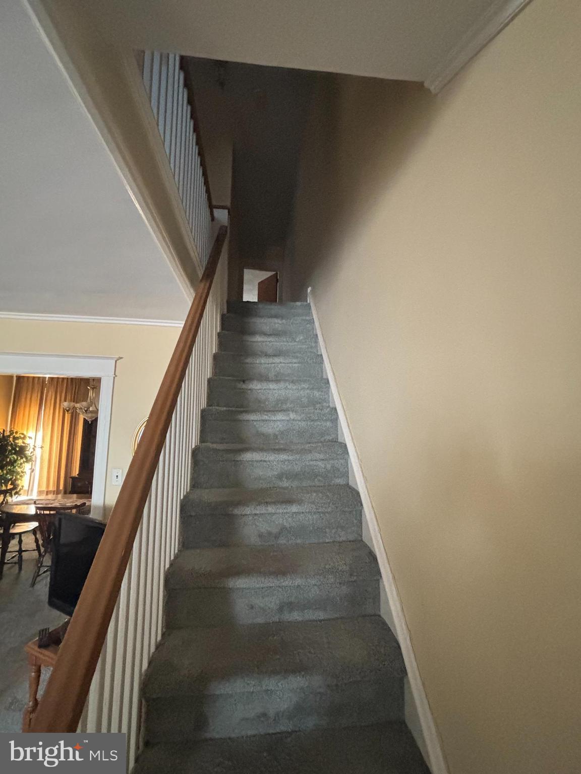 MAYFAIR - Residential