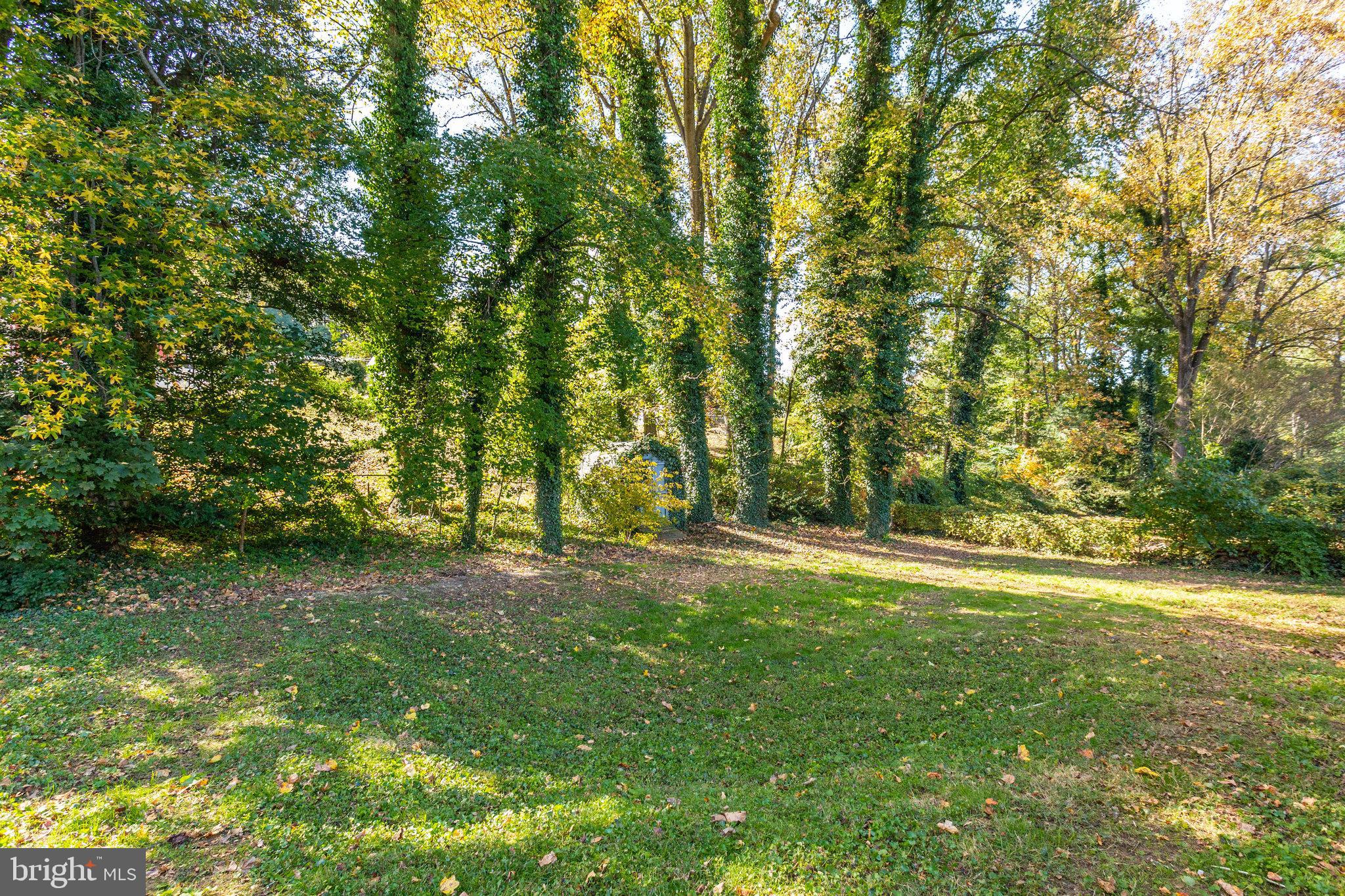 DANGELO WOODS - Residential