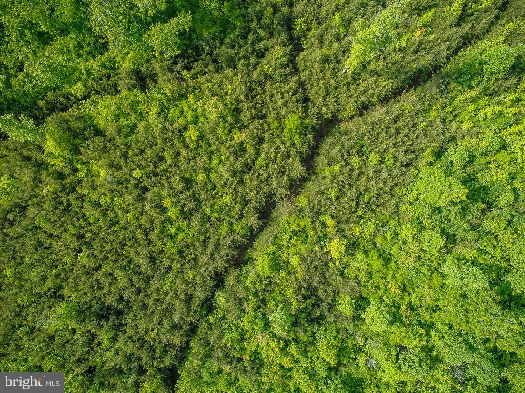 NONE AVAILABLE - Land