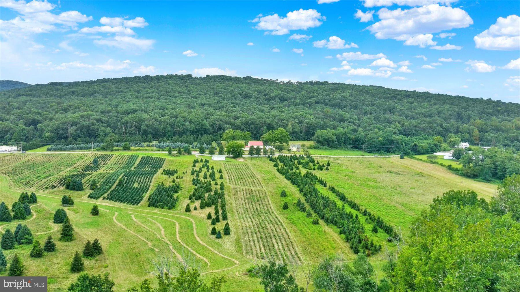 Prime 78-acre tract in Dillsburg, Pennsylvania, located in sought-after Northern York County and offering exceptional subdivision & development potential. This unique property boasts dual road frontage and is already split by the roadway—approximately 28 acres with the farmhouse and outbuildings on one side, and about 50 acres of open ground on the other—providing flexibility for future subdivision or multiple access points. The land features good soil, rolling topography, and picturesque views from its high points, creating an ideal setting for a residential community or estate lots. There is an existing lease with a Christmas tree farmer ending at the end of 2025. The property includes an early farmhouse, believed to be a 19th-century log home, ready for a full restoration or repurposing. Several outbuildings, including a detached garage, smokehouse, former chicken coop turned woodworking shed, implement shed, and a stone foundation bank barn with electric. The site is serviced by private septic, but with the land extending to the Dillsburg Area Authority, there is the possibility for public sewer connection. This property is part of an Estate Sale and is being offered as-is, presenting a rare opportunity for a developer, investor, or visionary buyer to shape a remarkable piece of Central Pennsylvania land.