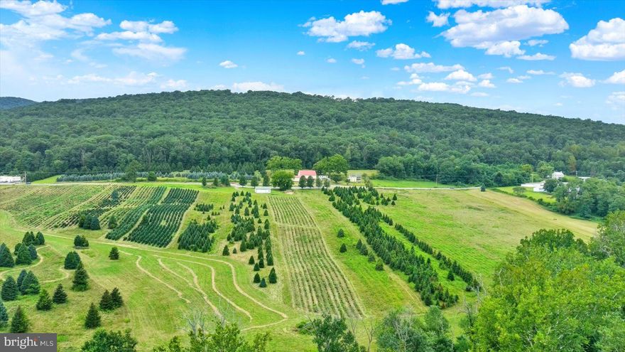 Prime 78-acre tract in Dillsburg, Pennsylvania, located in sought-after Northern York County and offering exceptional subdivision & development potential. This unique property boasts dual road frontage and is already split by the roadway—approximately 28 acres with the farmhouse and outbuildings on one side, and about 50 acres of open ground on the other—providing flexibility for future subdivision or multiple access points. The land features good soil, rolling topography, and picturesque views from its high points, creating an ideal setting for a residential community or estate lots.  There is an existing lease with a Christmas tree farmer ending at the end of 2025.   The property includes an early farmhouse, believed to be a 19th-century log home, ready for a full restoration or repurposing. Several outbuildings, including a detached garage, smokehouse, former chicken coop turned woodworking shed, implement shed, and a stone foundation bank barn with electric. The site is serviced by private septic, but with the land extending to the Dillsburg Area  Authority, there is the possibility for public sewer connection. This property is part of an Estate Sale and is being offered as-is, presenting a rare opportunity for a developer, investor, or visionary buyer to shape a remarkable piece of Central Pennsylvania land.