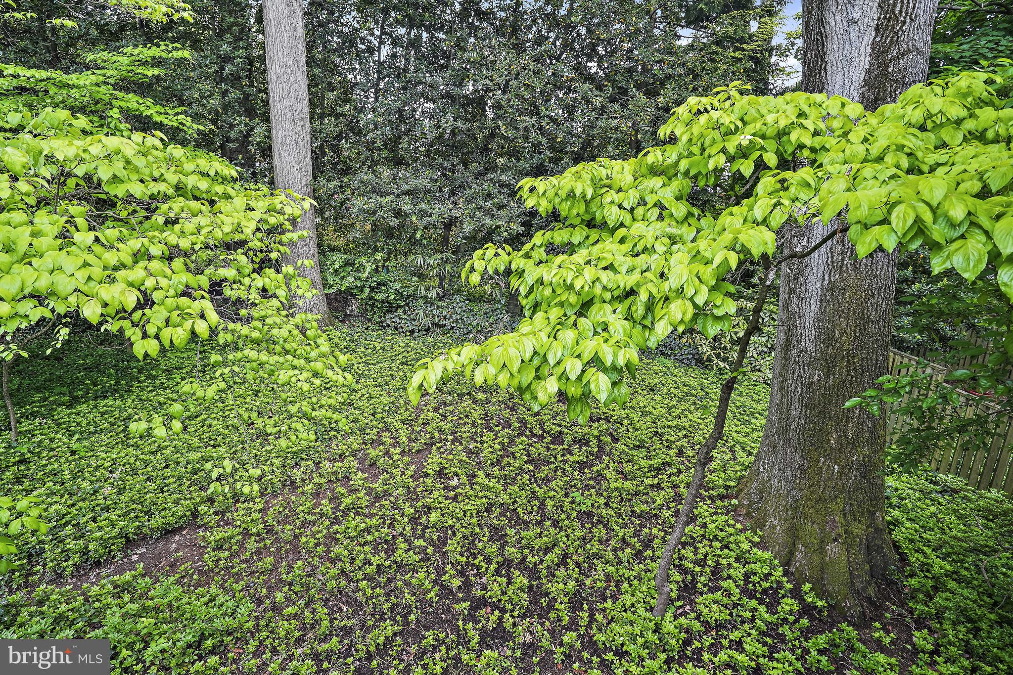 SOMERSET - Residential