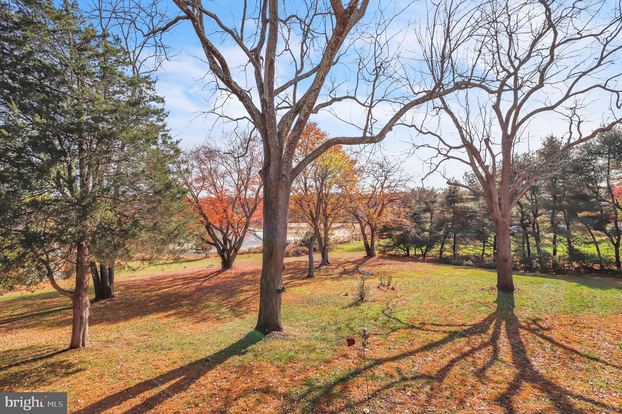 COUNTRY SPRINGS - Residential