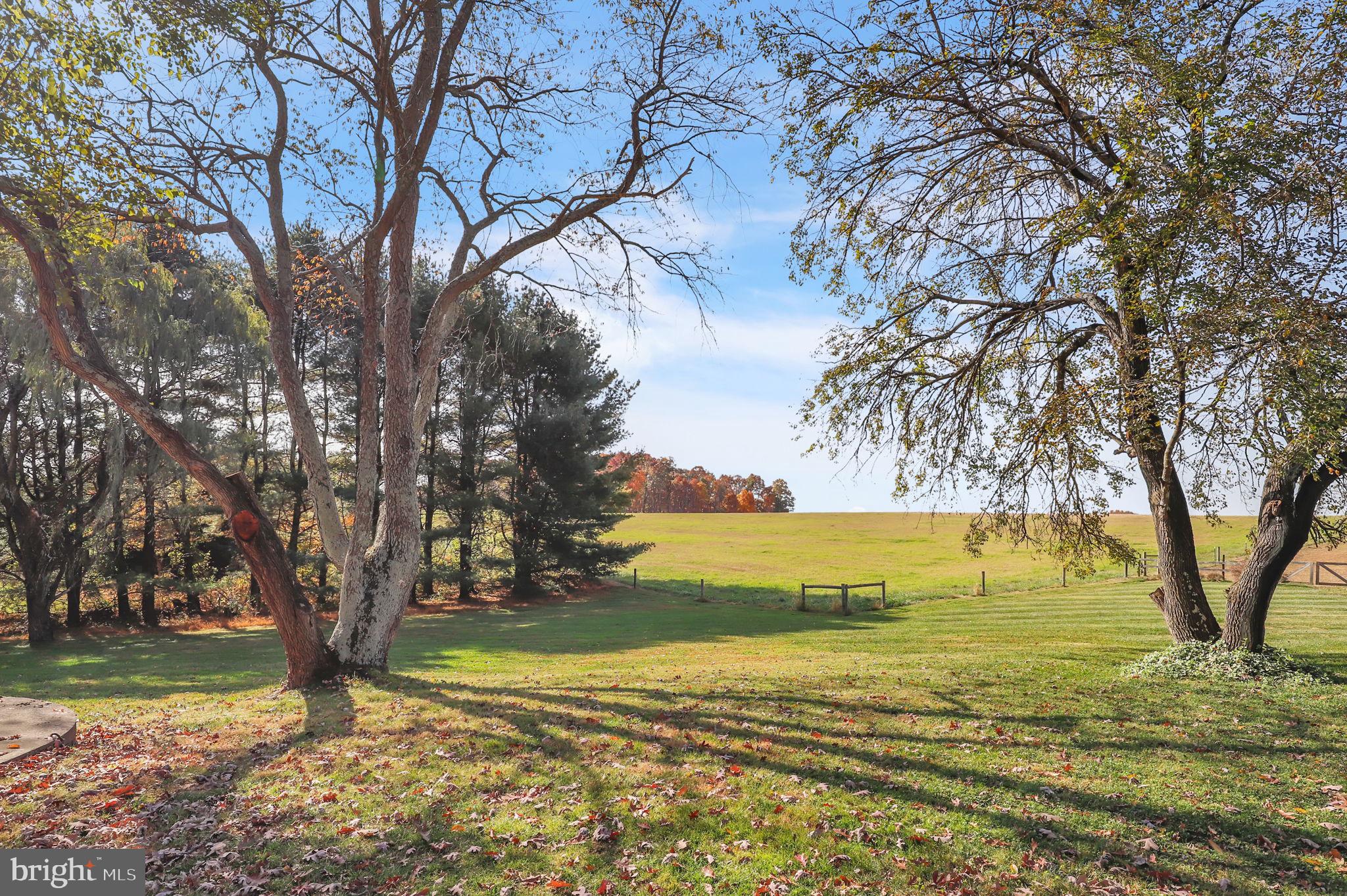 COUNTRY SPRINGS - Residential