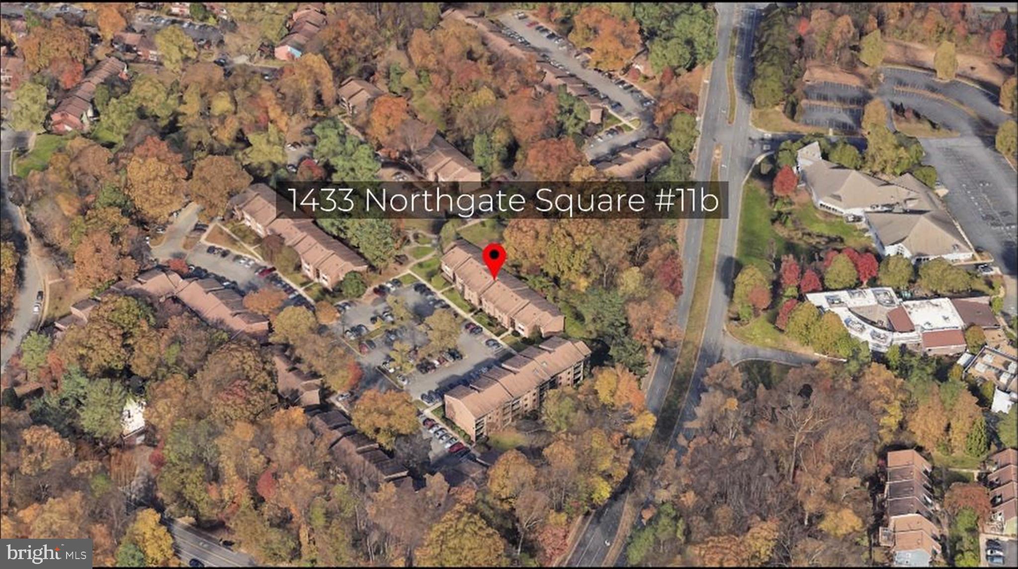 1433 NORTHGATE SQ 11B